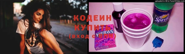 прущие грибы Кукмор