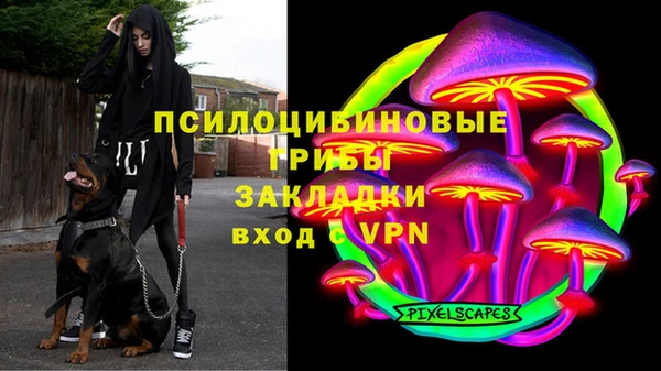 дурь Аркадак