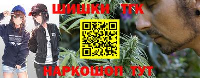 индика Новокубанск