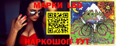 гашик Дубна