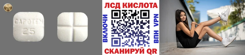 mega ТОР  Ногинск  ЛСД экстази ecstasy  как найти закладки 