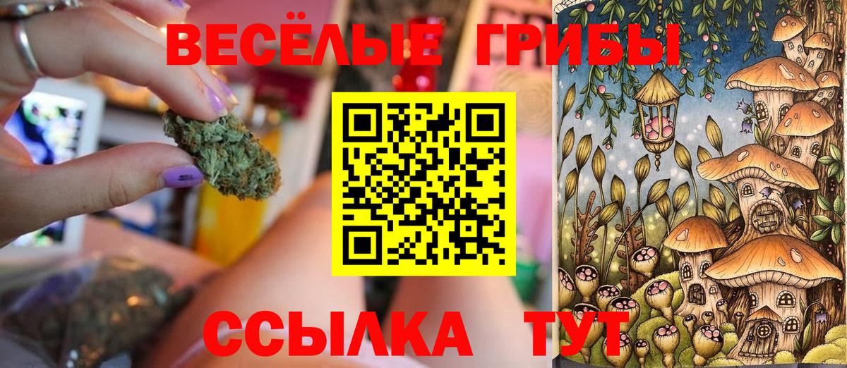 Галлюциногенные грибы прущие грибы Ногинск