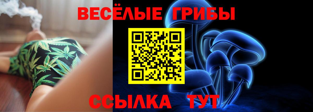 Псилоцибиновые грибы прущие грибы  Вход с VPN  Ногинск  Галлюциногенные грибы мицелий 